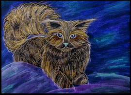 Katze Bild 2