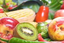 allaitement et alimentation