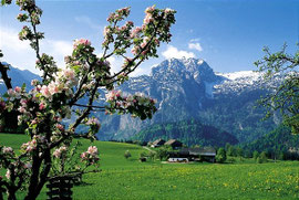 Frühling im Tennengau