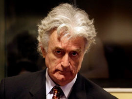 Kreator zločina: Radovan Karadžić Photo: EPA/VALERIE KUYPERS