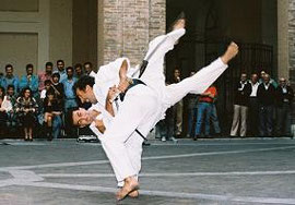 Part of a Yoshitaka demonstration. Disarming and throwing  a armed assailant