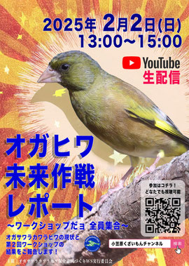オガヒワ未来作戦レポート