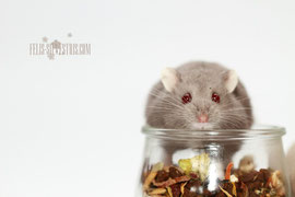 Eric mit Speedlite
