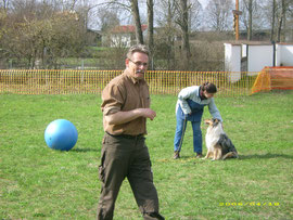 Treibball-Seminar mit Jan Nijboer