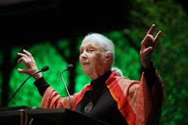 Dr. Jane Goodall in Mönchengladbach! Copyright/Foto: Ilgner, RP Online