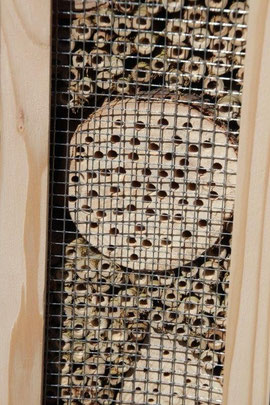 Bildauschnitt: Bienenhotel  groß, in der Mitte ist ein länglicher Bereich mit vielen kleinen Löchern, gefüllt mit Holzstücken und Tonkinstäben.