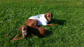 Yasi und Emil (im TAIO-T-Shirt)