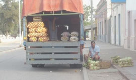 Es de años, cuando a uno le gusta su profesión, no hay quien lo iguale; Cejitas, nuestro verdulero siempre tratando de darnos la mejor calidad en frutas y verduras