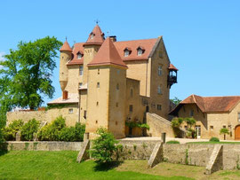 castle of Arricau-Bordes