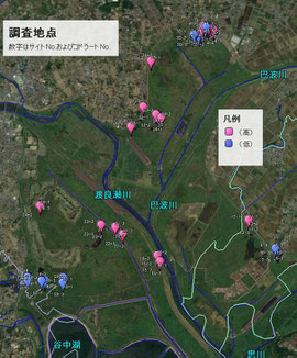 画像：コドラート調査地点