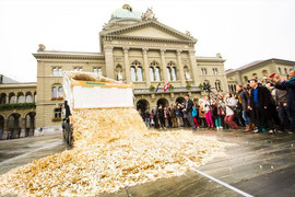Goldregen in Bern; Foto: S. Bohrer
