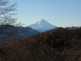 　　　　　　　柳沢峠付近からの朝の富士山