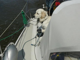Mit Max „First Ship Home“ in der Yardstickklasse