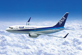 ANA All Nippon Airways Flugzeug