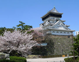 桜が綺麗なことでも有名な小倉城