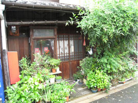 植木鉢をいっぱい飾った下町の長屋