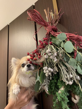 犬連れ ワークショップ スワッグ