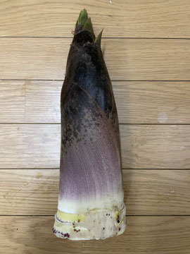 もぎたて新鮮オーガニック野菜の収穫体験。オプションで産地直食の昼食づくりを開催しております。