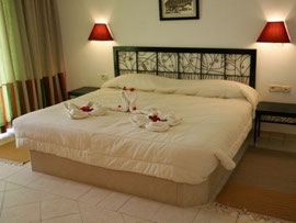 Room Miramar Petit Palais