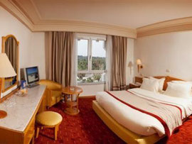 Room Golden Tulip Mechtel 