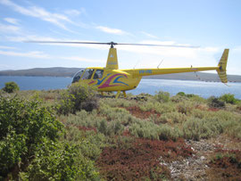 Mode of transport during the seabird island surveys