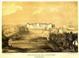 Наполеон Орда. Вишнівець. Замок.