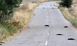 Esto es lo que queremos evitar en nuestras carreteras..