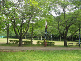 広場にトーテムポールがたくさんある公園でした。