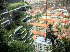 Il bosco verticale - Milan 2014