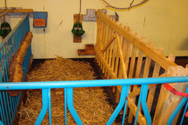 Kreißsaal/Ablammbox
