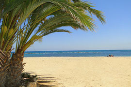 Strand bei Gandia - an der Costa de Valencia, Foto: Birgitta Kuhlmey
