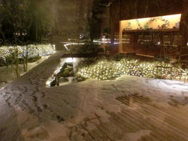 コンサート ライブのご案内 2014年後半 Takano Miyukiの 花散歩 音散歩 ホームページ