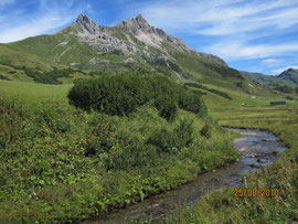 Auenfeld
