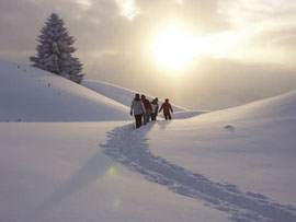 Winterwandern im Kleinwalsertal