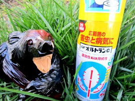 店長のおすすめ、オルトランC!