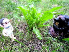 「除草剤の日々」第三日目