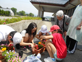 さくら荘に花植えをする児童