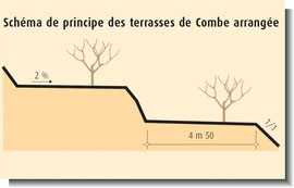 Culture: principe des terrasses