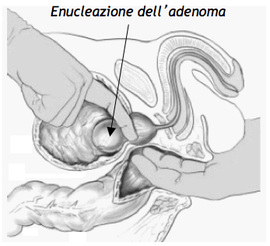 Medicina - Indice