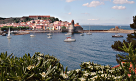 Collioure