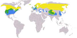 www,oiseaux.net