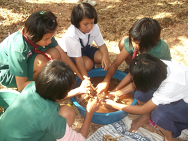 Children washing the harvested herbs