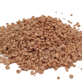 NOCCIOLINO DI OLIVA