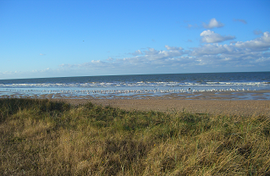 Le cordon dunaire, lien nécessaire à la préservation du littoral            Cliché JC