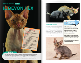 Pets & the City - 01/2013