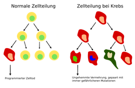 Anklicken um zu vergrößern; Quelle: www.wikipedia.org; Besitzer: Garak76, Suhadi Jorhaa'ir