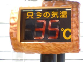 見たくもないですが、温度計