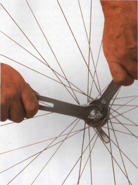 Set 6 Cuscinetti A Sfera Per Bicicletta | Acciaio Inox 5mm Per Pedivella | Ricambio Per Mountain Bike E Bici Città | Antiruggine E Anti Usura