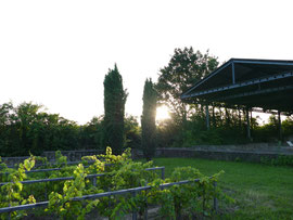 Fruchtbarer Boden und rundum Sonne