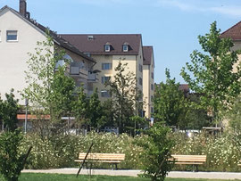 Blick über den neuen Platz auf die 11er und 13er Blöcke